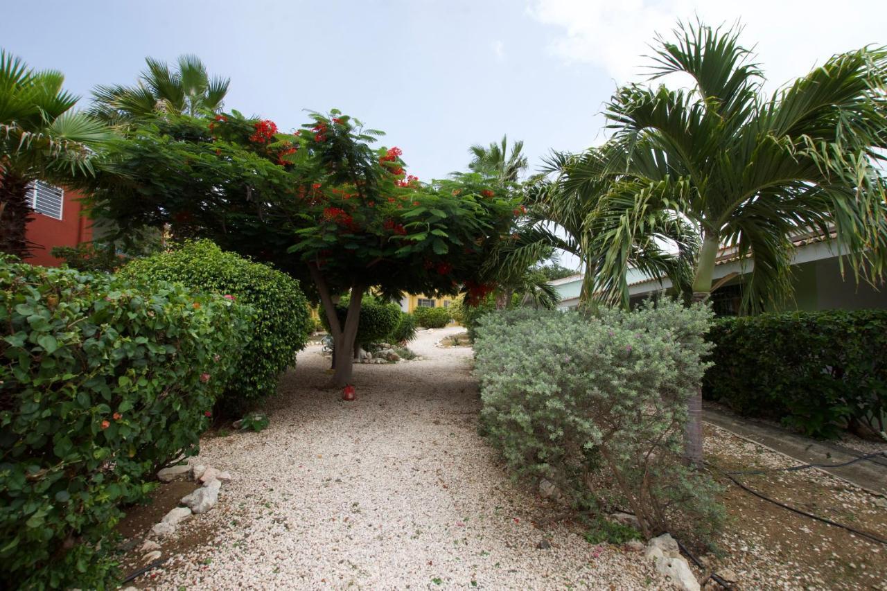 Seru Coral Apartment Βίλλεμσταντ Εξωτερικό φωτογραφία