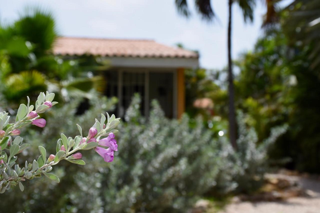 Seru Coral Apartment Βίλλεμσταντ Εξωτερικό φωτογραφία