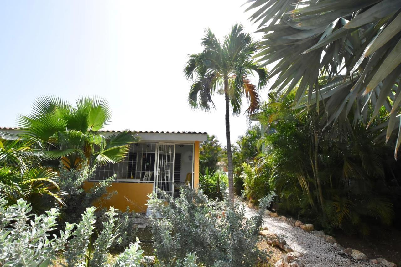 Seru Coral Apartment Βίλλεμσταντ Εξωτερικό φωτογραφία